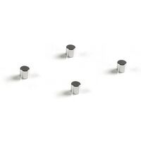 Kaiser Neodym-Magnete für Leuchtplatten prolite LED, 4 Stück 