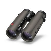 Leica Noctivid 10x42  grün