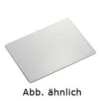 Nikon Streuscheibe SW-12 für R-1 