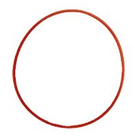 Olympus O-Ring POL-EP13 für PT-EP13 