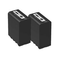 Panasonic Akku AG-VBR118GC  2er Pack