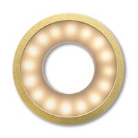Paper Shoot Ring Light  Gold