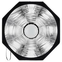 Profoto Beauty Dish Silver 