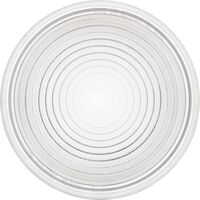 Profoto Replacement Lens Fresnel Small 