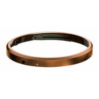 Ricoh Ringkappe GN-2  BZ