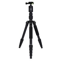 Rollei Compact Traveler No.1  schwarz