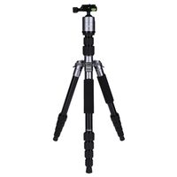 Rollei Compact Traveler No.1  titan