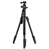 Rollei Compact Traveler No. 2 