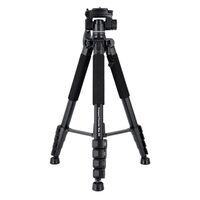 Rollei Compact Traveler Star S4 