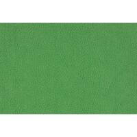 Rollei X-Drop Hintergrund 3,0m  grün