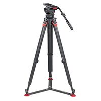 Sachtler System Video 18 FT GS 