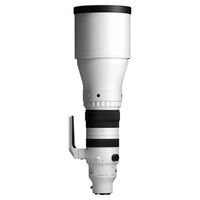Sigma 300-600mm f/4,0 DG OS Sports  L-Mount