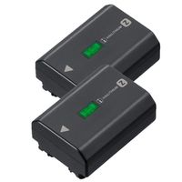 Sony Akku NP-FZ 100  2er Pack