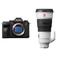 Sony Alpha 1 II (ILCE-1M2B) + SEL 300mm f/2.8 GM OSS 