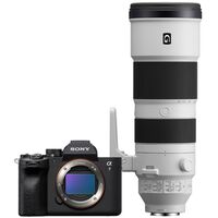 Sony Alpha 7 IV (ILCE-7M4) + SEL 200-600mm f/5.6-6.3 G OSS 