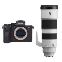 Sony Alpha 7R V (ILCE-7RM5) + SEL 200-600mm f/5.6-6.3 G OSS 