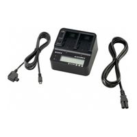 Sony Netz- / Ladegerät AC-VQV 10 