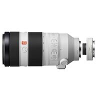 Sony SEL 100-400mm f/4,5-5,6 GM OSS + Telekonverter SEL-14TC 1.4x  Sony FE-Mount