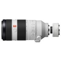 Sony SEL 100-400mm f/4,5-5,6 GM OSS + Telekonverter SEL-20TC 2.0x  Sony FE-Mount