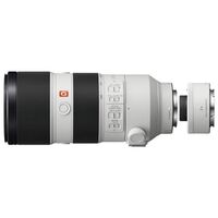 Sony SEL 70-200mm f/2,8 GM OSS + Telekonverter SEL-20TC 2.0x  Sony FE-Mount