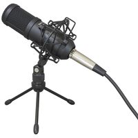 Tascam TM-70 Dynamisches Mikrofon für Podcasting 
