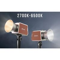 Tolifo PALM LED  PL-60B