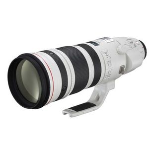 Canon EF 200-400mm f/4,0 L IS USM + Extender  Canon EF