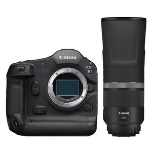 Canon EOS R1 + RF 800mm f/11 IS STM 