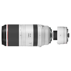 Canon RF 100-500mm f/4.5-7.1 L IS USM + Canon Extender RF 2x 
