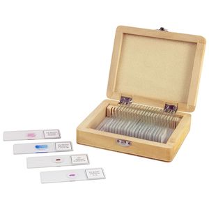 Celestron Objektträger mit 25 Fertigpräparaten 