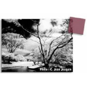 Cokin 007 Infrarot  P 