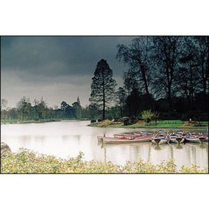 Cokin 121 Verlauf grau 2 ND 8  P 