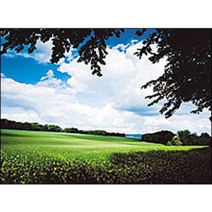 Cokin 121L Verlauf grau 2 ND2  P 