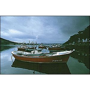 Cokin 121S Verlauf grau 2 ND8  P 