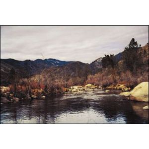 Cokin 153 grau 4x  P 