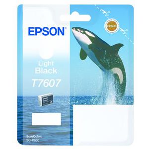 Epson T7607  light black