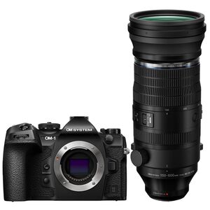 OM SYSTEM OM-1 II + M.Zuiko Digital ED 150-600mm f/5.0-6.3 IS 