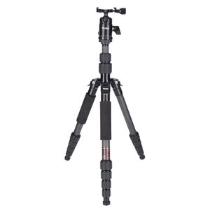 Rollei Compact Traveler No.1 Carbon  schwarz