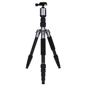 Rollei Compact Traveler No.1  titan