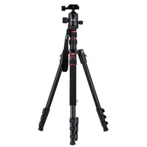 Rollei Compact Traveler No. 2 