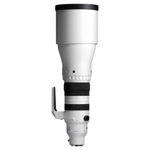 Sigma 300-600mm f/4,0 DG OS Sports  L-Mount