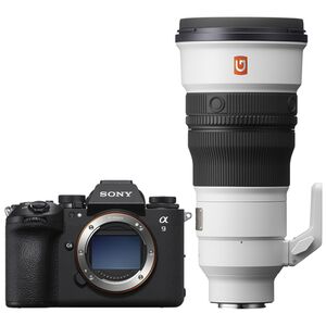 Sony Alpha 9 III (ILCE-9M3) + SEL 300mm f/2.8 GM OSS 