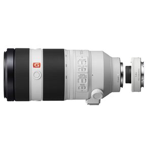 Sony SEL 100-400mm f/4,5-5,6 GM OSS + Telekonverter SEL-14TC 1.4x  Sony FE-Mount