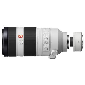 Sony SEL 100-400mm f/4,5-5,6 GM OSS + Telekonverter SEL-20TC 2.0x  Sony FE-Mount