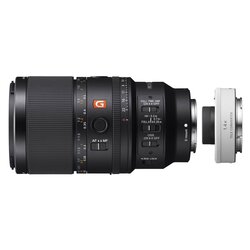 Sony SEL 100mm f/2,8 Makro GM OSS + SEL-14TC 1.4x Telekonverter 