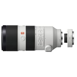 Sony SEL 70-200mm f/2,8 GM OSS + Telekonverter SEL-14TC 1.4x  Sony FE-Mount