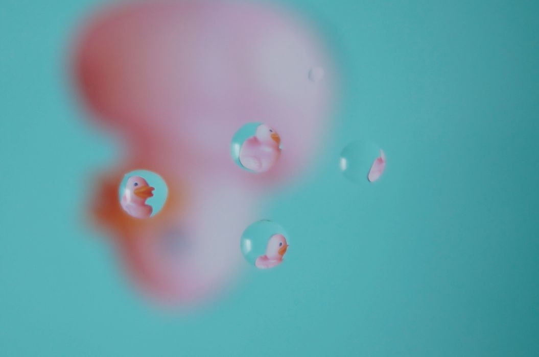 Pop Up photo competition 2nd place Catrin Baldischweiler Pop Up photo competition 2nd place Catrin Baldischweiler