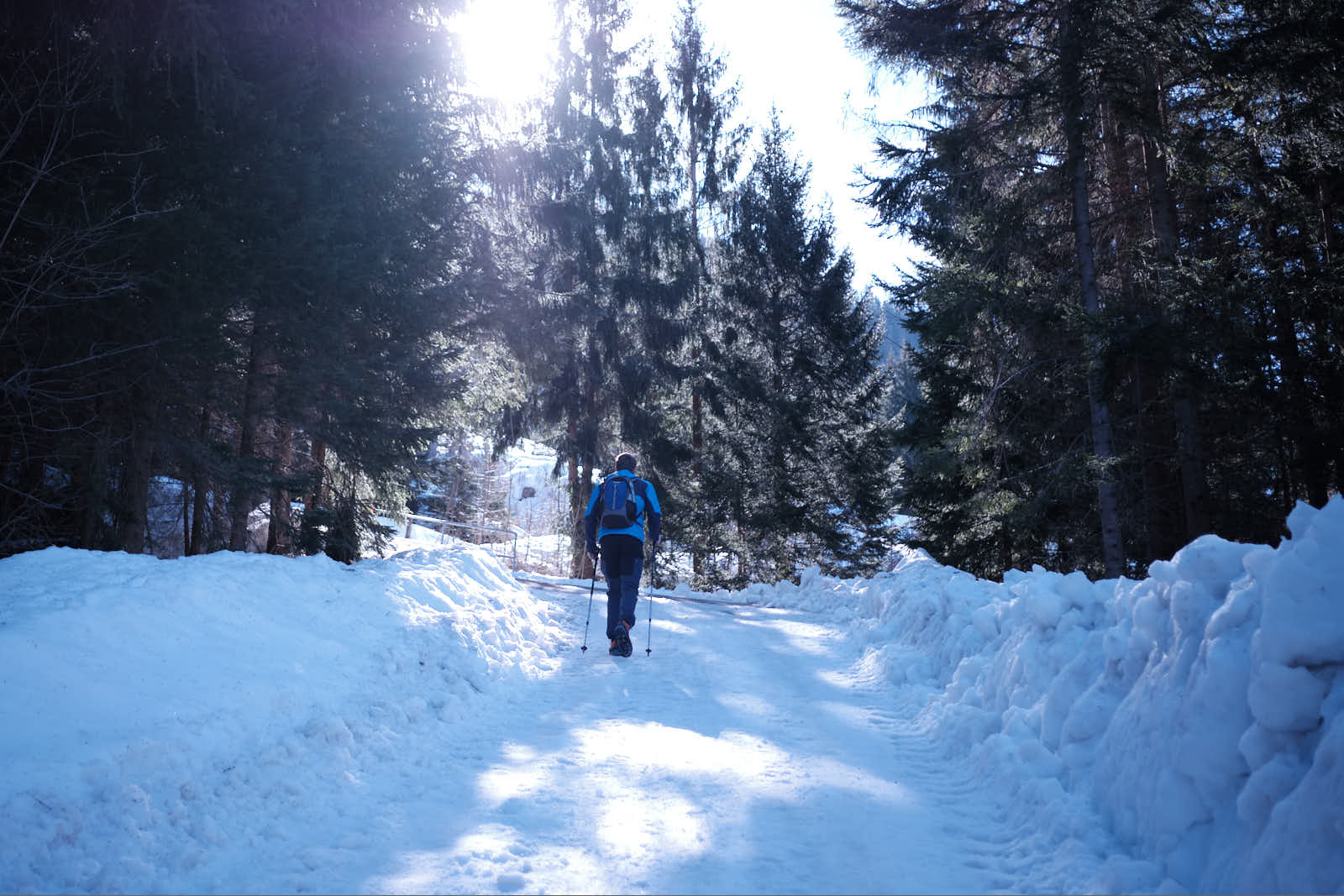 Schneebedeckter Weg im Wald