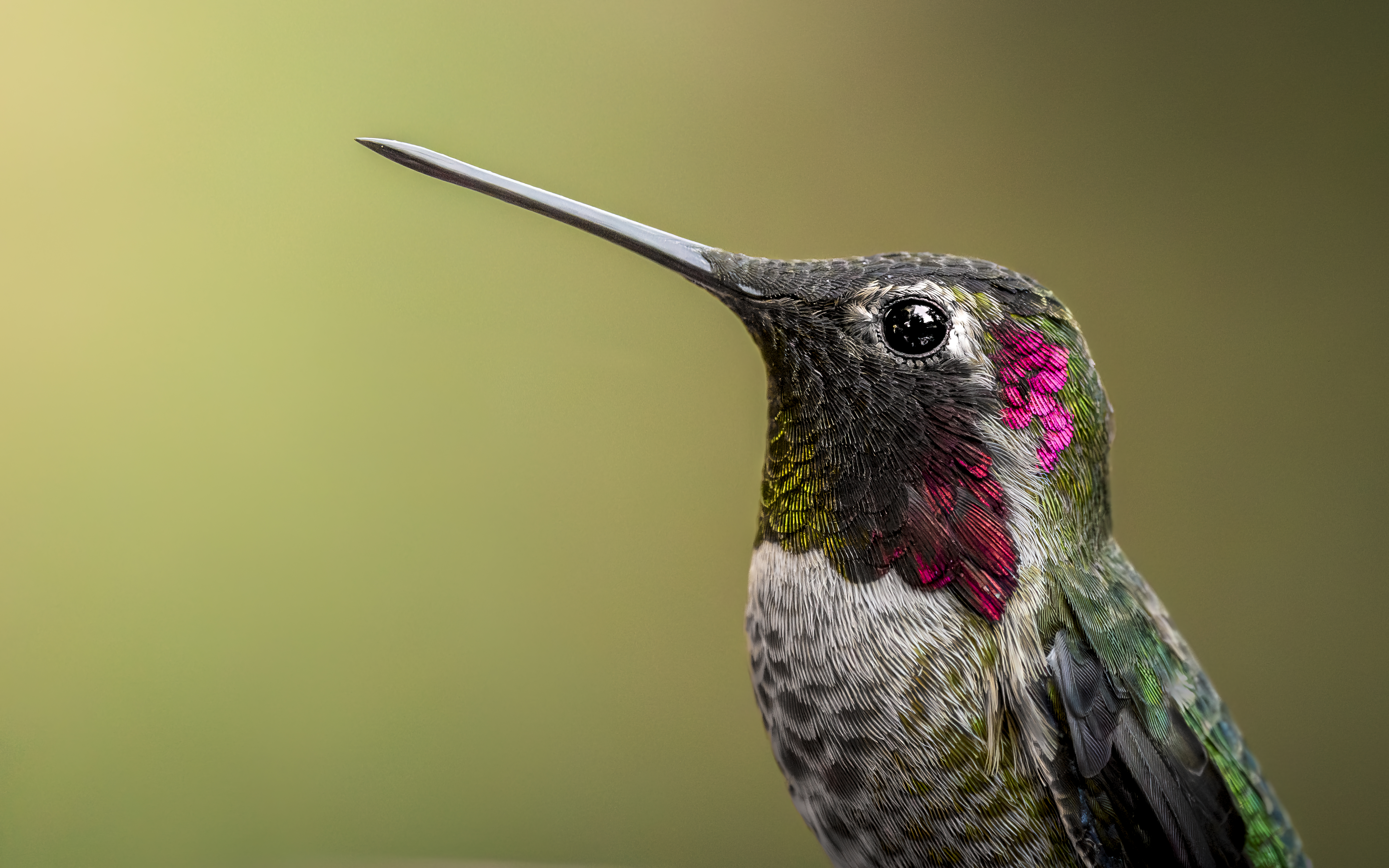 Platz Eins Fotowettbewerb Orange