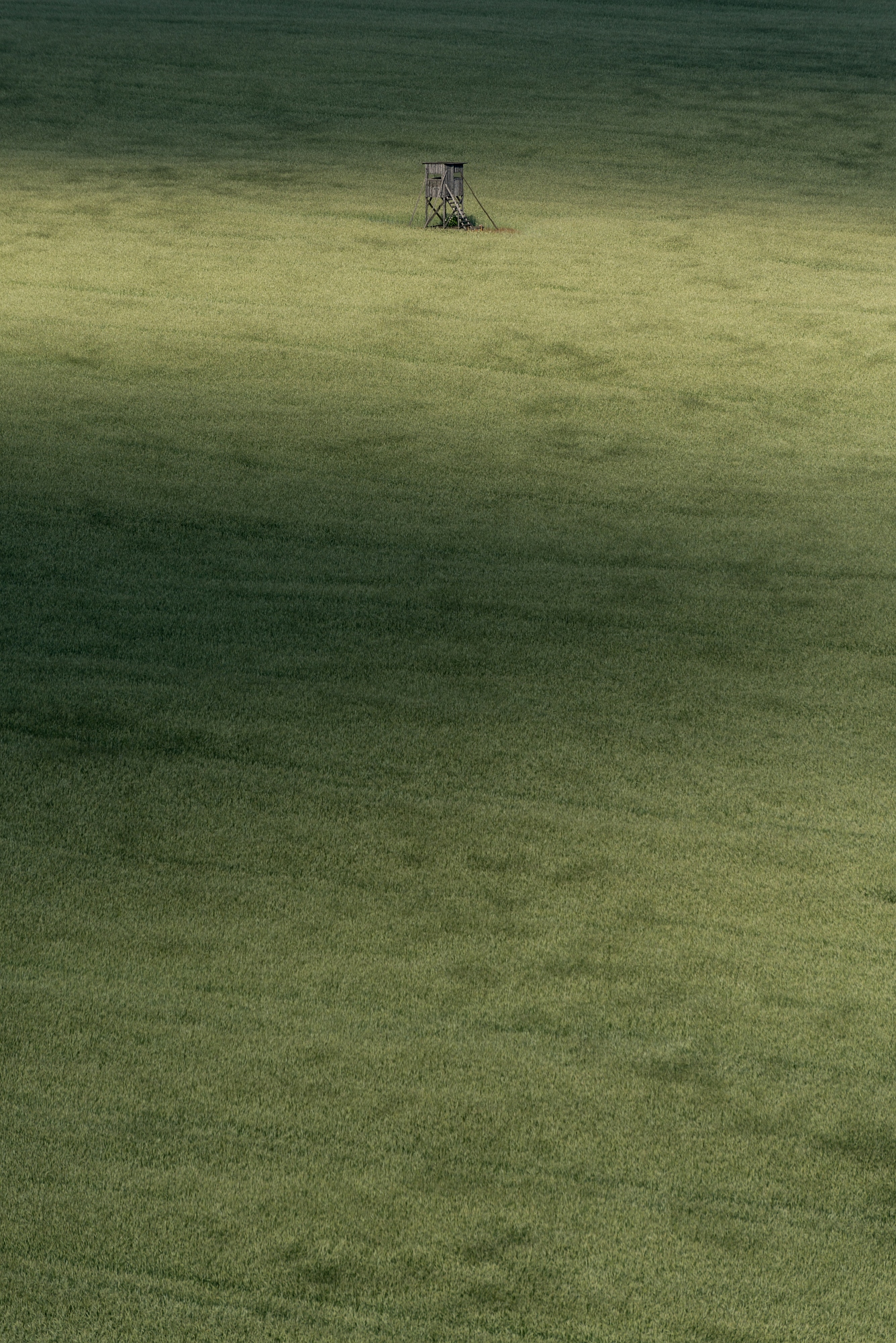 Platz Zwei Fotowettbewerb Orange